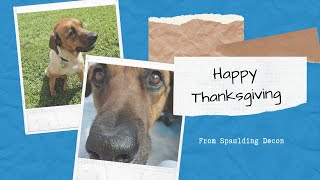 Happy Thanksgiving from Spaulding Decon