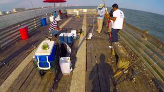 Galveston tx 91st pier was our life saver