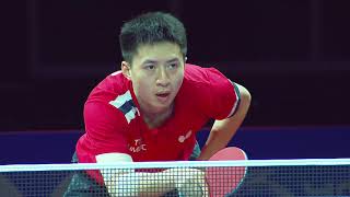 Bo Fang vs Boll