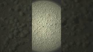 Zen Art In The Martian Sand #perseverance #marsexploration
