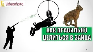 Как ПРАВИЛЬНО целиться в зайца на охоте? Videoohota