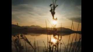 Álomarcú Lány  - LGT