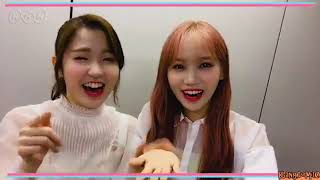 Ssambbang 쌈빵 (Chaewon x Hitomi ) lovely moments❤️