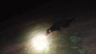 2838