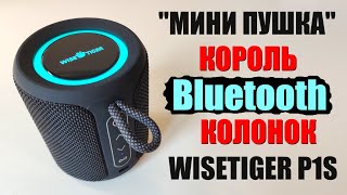 Мини блютус колонка WISETIGER P1S обзор