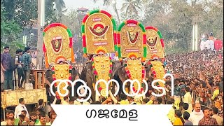 ആനയടി ഗജമേള 2020 | ഗജമേള 2020 | ആനയടി പൂരം 2020 | ZPOTON TFT