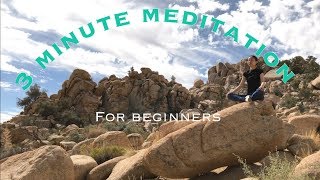 心＋ヨガ //初めての瞑想//3MINUTE MEDITATION FOR BEGINNERS
