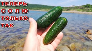Теперь МАЛОСОЛЬНЫЕ ОГУРЧИКИ готовлю ТОЛЬКО ТАК походный рецепт "По морскому" !