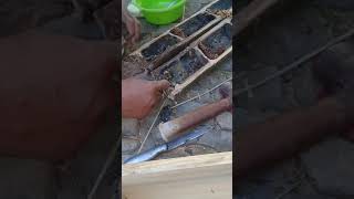 Ternak lebah kelanceng/kelulut