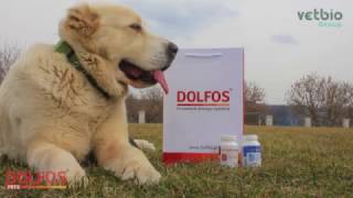 ArthroCollagen & Dolvit Senior Plus