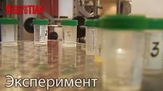 Как по запаху и цвету спермы определить состояние мужского здоровья!