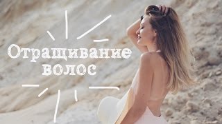 Самые эффективные средства для отращивания волос!