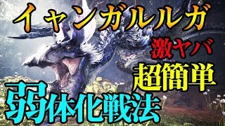 イャンガルルガ弱体化が簡単すぎる【MHWアイスボーン】Yian Garuga’s not well known weakness,Shoot walnuts!【ICEBORNE】