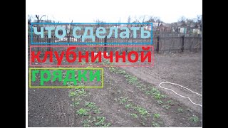 Клубничная грядка, что сделать в апреле