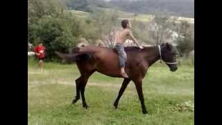 shqmeri 2011 gagnidze luka jiritobs :) :@
