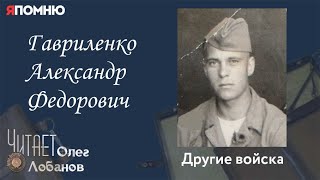 Гавриленко Александр Федорович. Проект "Я помню" Артема Драбкина. Другие войска.