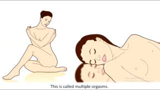 orgasm ( the female orgasm )