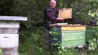 Я - пасічник-початківець . Крок 4