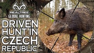 EPIC Wild Boar Hunt in the Czech Republic