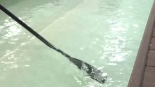 Learn To Row - Rowing Drills and Technique - Catch Placement Drill - Recovery Sequence