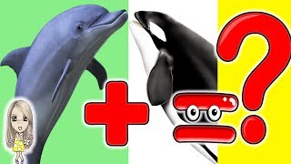 НЕВЕРОЯТНЫЕ И УДИВИТЕЛЬНЫЕ ГИБРИДЫ ЖИВОТНЫХ // МоМо