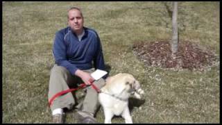Dog Aggression Secret