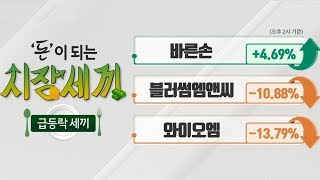 #블러썸엠앤씨(263920)_돈 되는 급등락 종목(20200214)