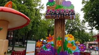 Аттракцион "Чудо дерево"