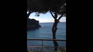 Anse du Corton à Cassis