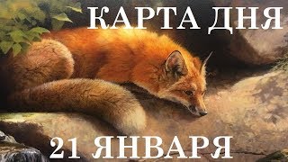 КАРТА ДНЯ 21 ЯНВАРЯ ТАРО ГОРОСКОП ГАДАНИЕ