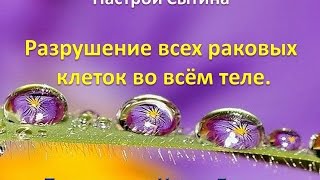 Разрушение всех раковых клеток во всём теле. Настрой Сытина