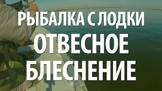 РЫБАЛКА С ЛОДКИ - ОТВЕСНОЕ БЛЕСНЕНИЕ