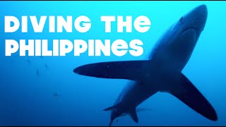 Diving the Philippines - GoPro Edit