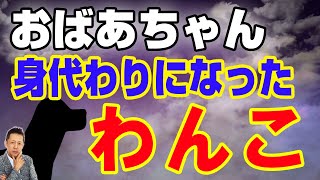 おばあちゃんの身代わりになったわんこ、いやな先祖供養はするべきか　ATL3rd _ 80