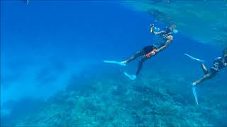 Jungle Aquapark - Hurghada - Holiday 2018