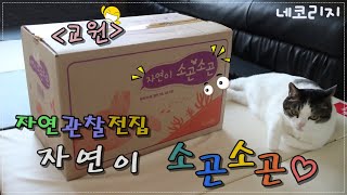 [육아용품리뷰] 교원 자연관찰전집 자연이 소곤소곤 리뷰해봐요~