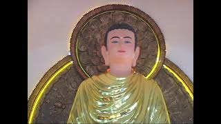 ĐỒNG PHẬT VÃNG TÂY PHƯƠNG - Sư Cô : Thích Nữ Như Lan