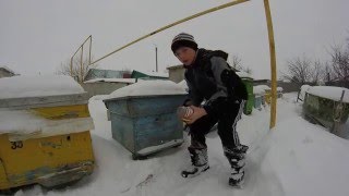 как достать пчёл из улья зимой