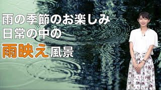 雨の日こその“映え”がいっぱい