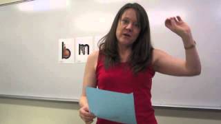 Letter Sound Instruction with Zoo Phonics