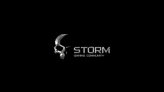 Stalker Online Единственная ПК группировка МСК сервера(STORM)