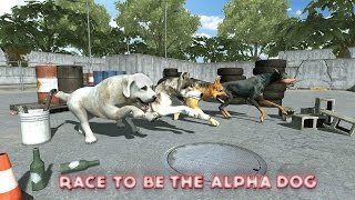 Dog Racing : Dog Games By Puffy Thumb Racing - iTunes/Android