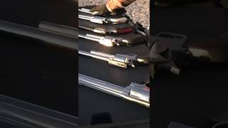 The biggest magnum revolvers in the world vs pumpkins