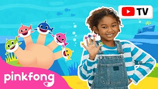 Deditos Tiburón | Pinkfong Canta & Baila | Canciones ​Infantiles