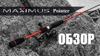 Обзор Maximus Pointer. Спиннинг для микроджига.