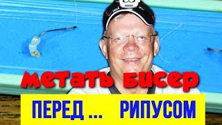 Метать бисер перед рипусом  Ловля рипуса на искусственные насадки