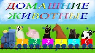 Изучение животных, цвета, цифр. Развивающие мультики