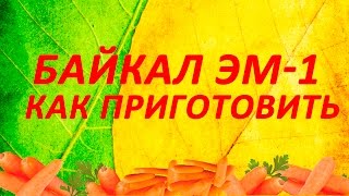 Байкал Эм 1 Как приготовить раствор Байкал ЭМ1