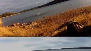 knipjakt 28 29 10 2016 vårdö