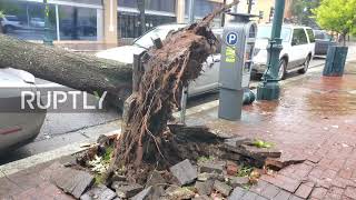 USA: Hurricane Ida batters Louisiana with strong winds